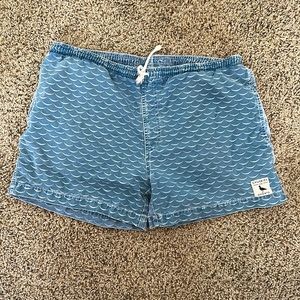 Chubbies shorts